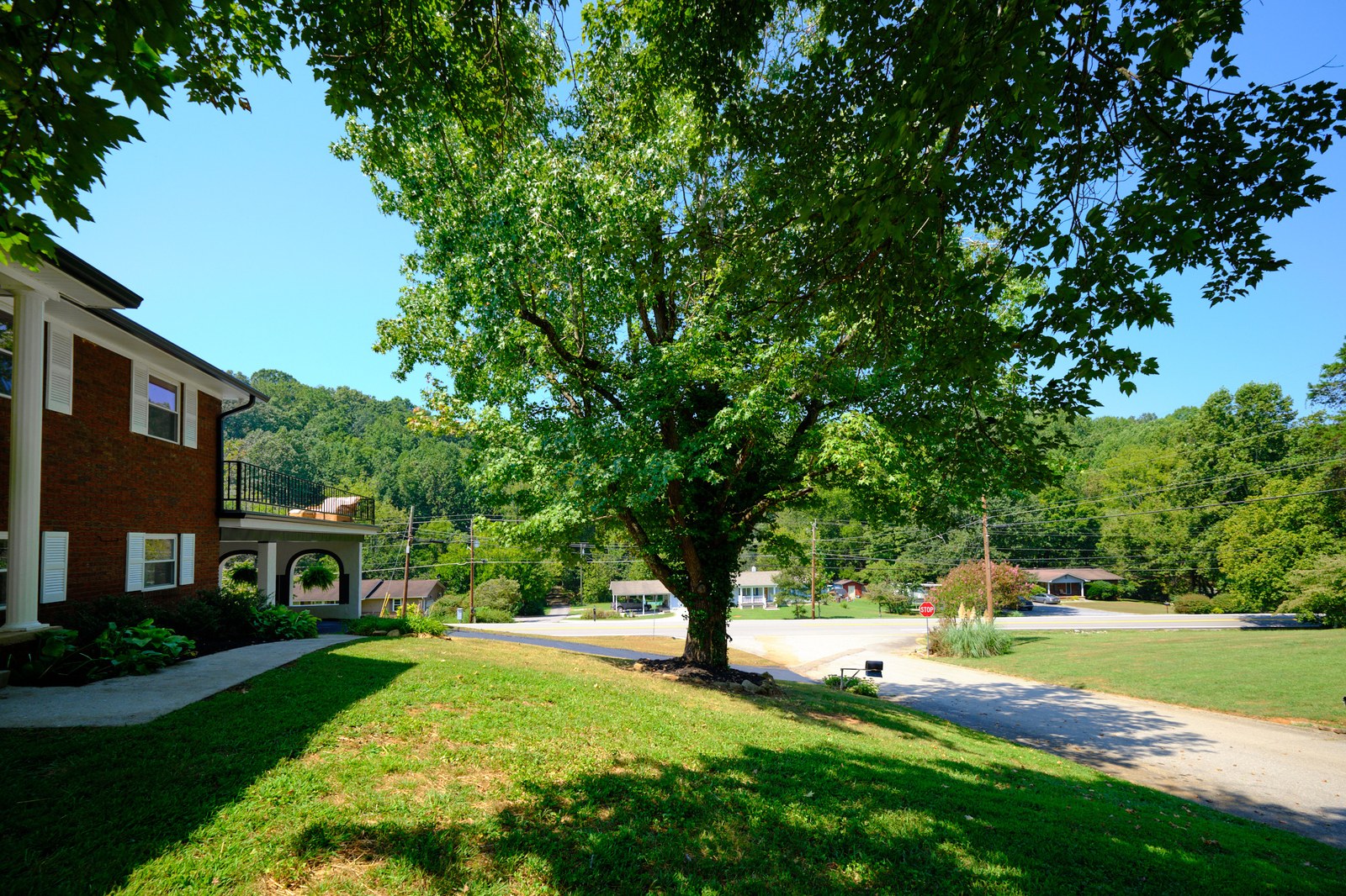 8216 Pickens Gap Road — Photo 6